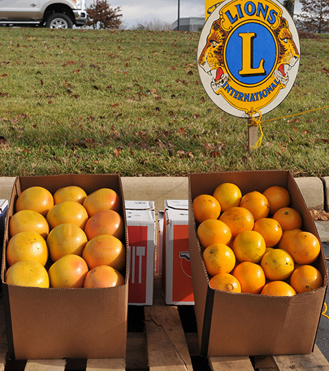 Lions Club Citrus Sale